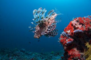 Coco Bodu Hithi fotoÄŸrafÄ±