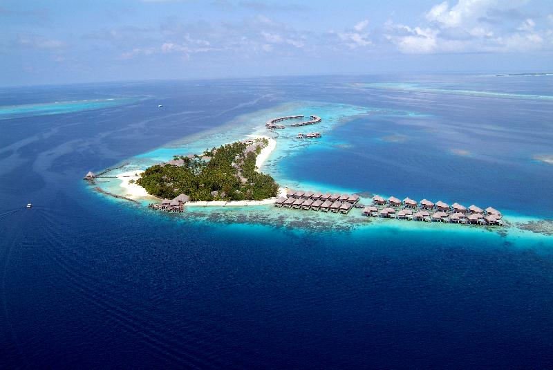 Coco Bodu Hithi - Genel