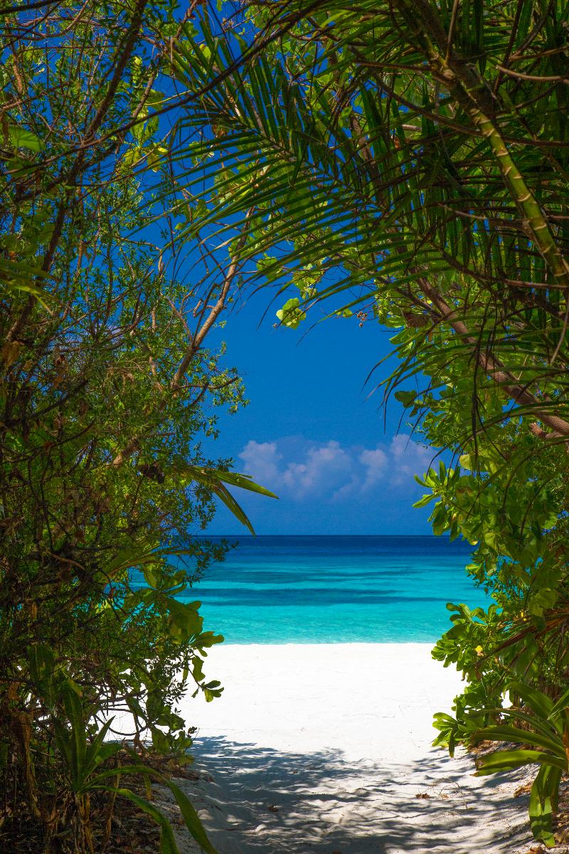 Coco Bodu Hithi - Plaj