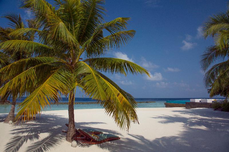 Coco Bodu Hithi - Plaj