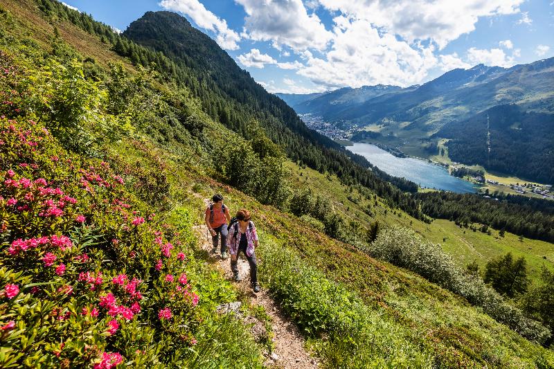 Steigenberger Icon Grandhotel Belvédère Davos - Aktivite
