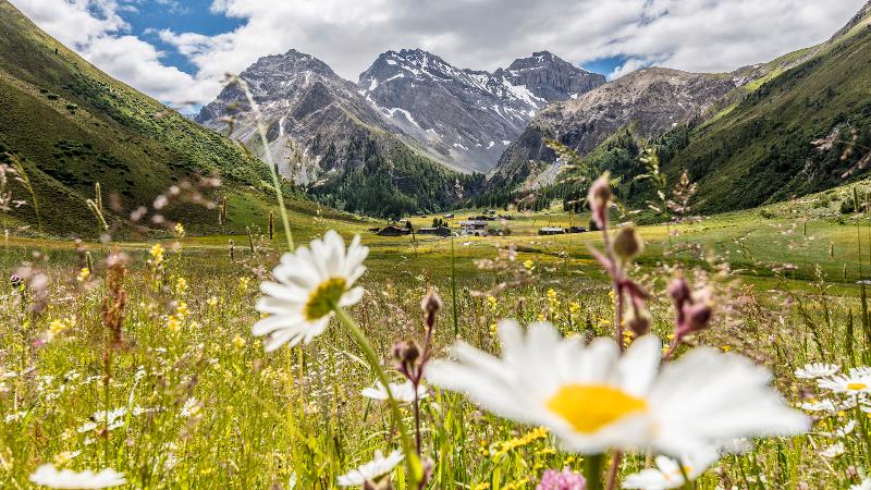 Steigenberger Icon Grandhotel Belvédère Davos - Aktivite