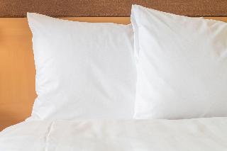 Holiday Inn Cairo - Citystars fotoÄŸrafÄ±