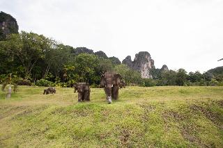 Arawan Krabi Beach Resort fotoÄŸrafÄ±