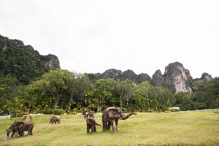 Arawan Krabi Beach Resort fotoÄŸrafÄ±