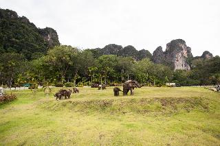 Arawan Krabi Beach Resort fotoÄŸrafÄ±