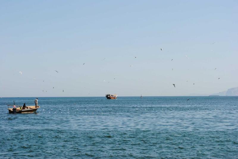 Atana Khasab Hotel - Genel