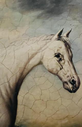 New Flying Horse fotoÄŸrafÄ±