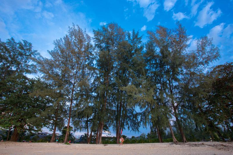 Mai Khao Lak Beach Resort & Spa - Plaj
