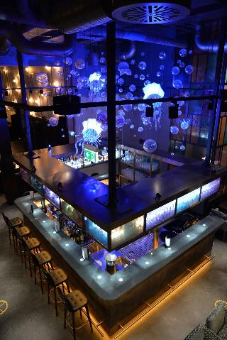 Radisson Blu Senator Hotel fotoÄŸrafÄ±
