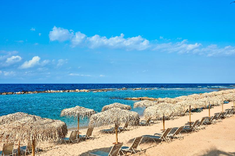 Mare Ayia Napa - Genel