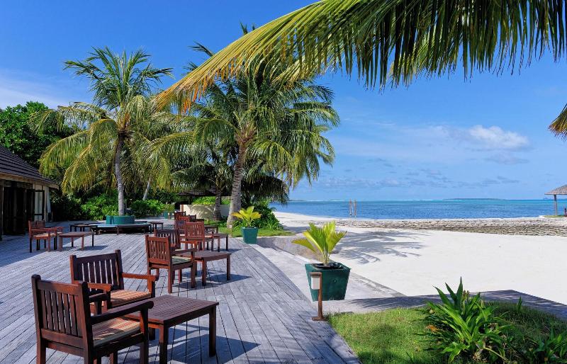 Canareef Resort Maldives - Bar