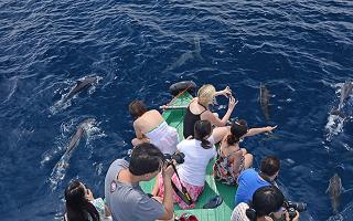 Canareef Resort Maldives fotoÄŸrafÄ±