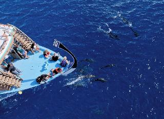 Canareef Resort Maldives fotoÄŸrafÄ±