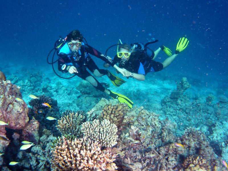 Canareef Resort Maldives - Aktivite