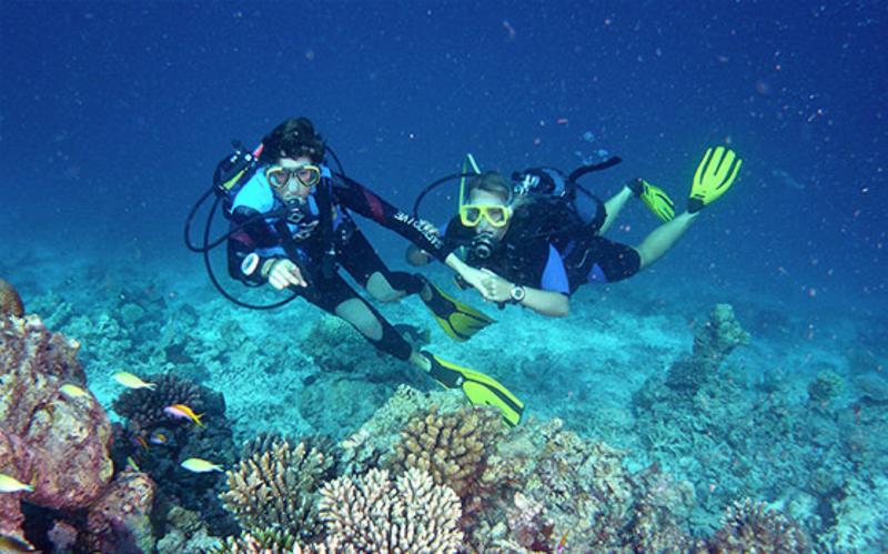 Canareef Resort Maldives - Aktivite