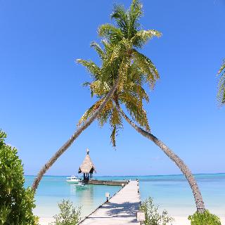 Canareef Resort Maldives fotoÄŸrafÄ±