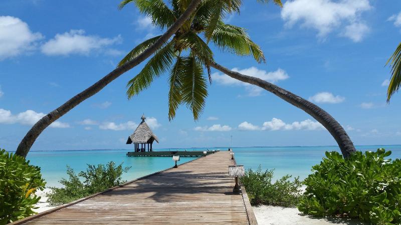 Canareef Resort Maldives - Genel