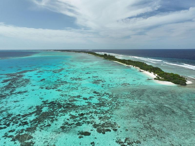 Canareef Resort Maldives - Genel
