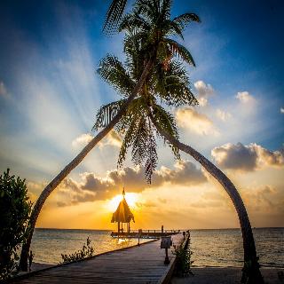 Canareef Resort Maldives fotoÄŸrafÄ±