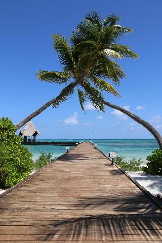 Canareef Resort Maldives fotoÄŸrafÄ±
