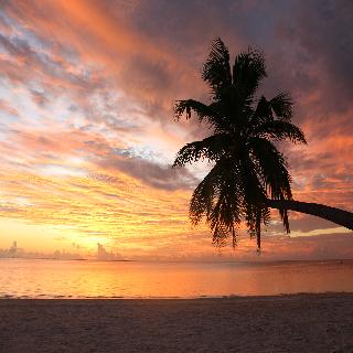Canareef Resort Maldives otel fotoğrafı