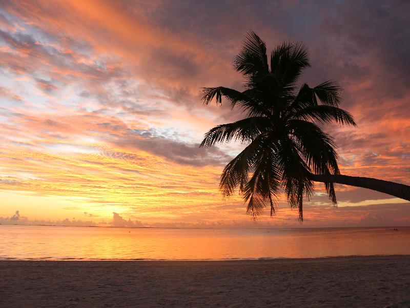 Canareef Resort Maldives - Genel