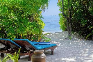Canareef Resort Maldives fotoÄŸrafÄ±