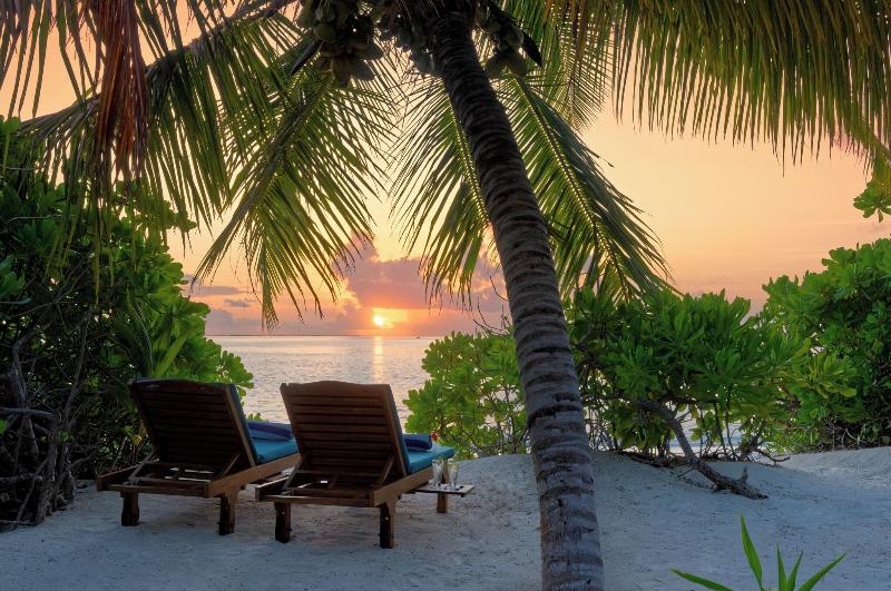 Canareef Resort Maldives - Oda