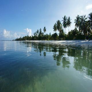Canareef Resort Maldives fotoÄŸrafÄ±