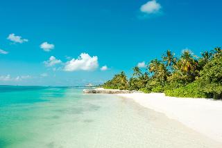 Canareef Resort Maldives fotoÄŸrafÄ±