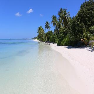 Canareef Resort Maldives fotoÄŸrafÄ±