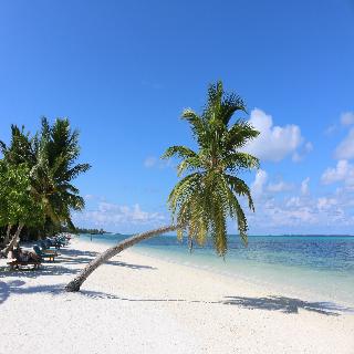 Canareef Resort Maldives fotoÄŸrafÄ±