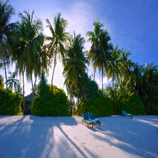 Canareef Resort Maldives fotoÄŸrafÄ±