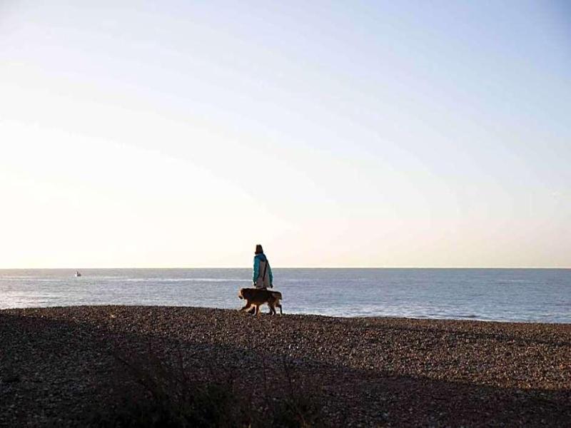 Cooden Beach Hotel - Genel