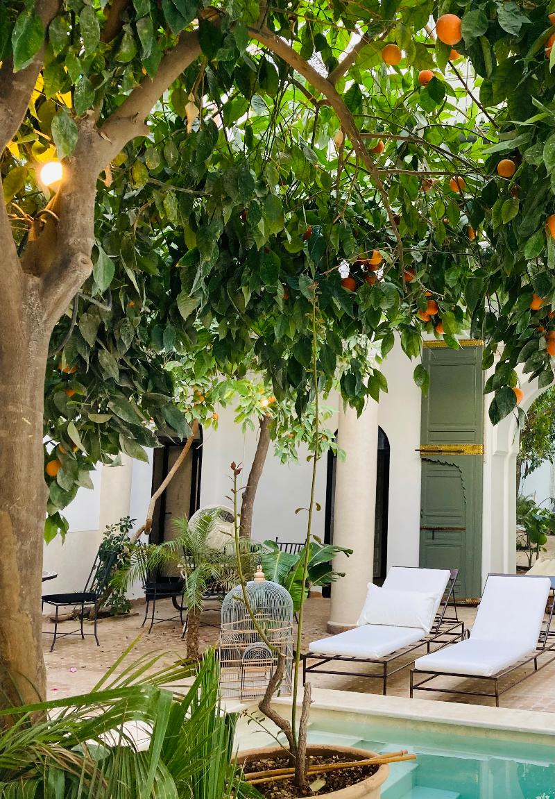 Riad Rafaele & Spa - Havuz