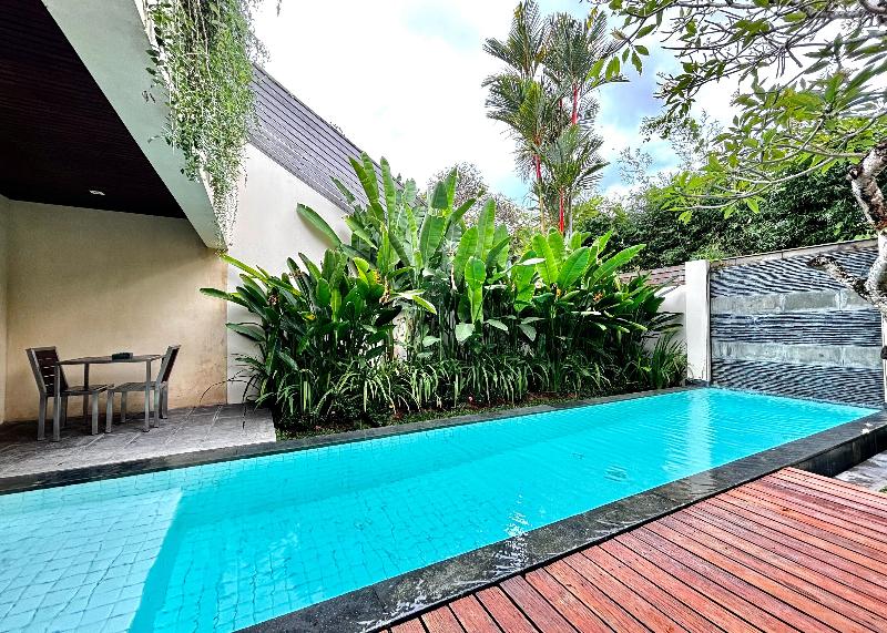 Bali Island Villas and Spa Seminyak - Havuz