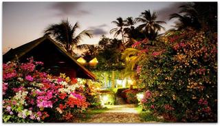 Boomerang Village Resort fotoÄŸrafÄ±