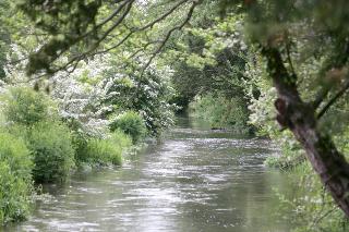 Donnington Grove Hotel & Country Club fotoÄŸrafÄ±