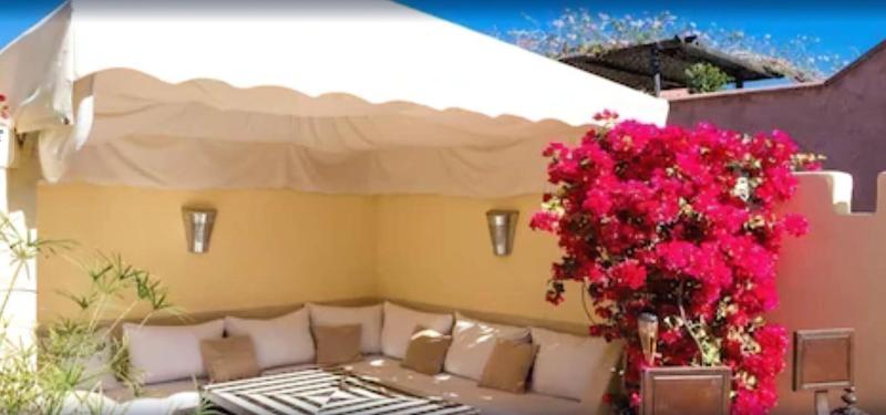 Riad Cocoon - Genel