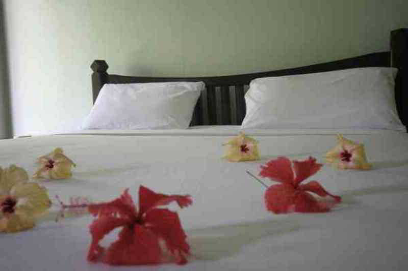 Lamai Inn 99 fotoÄŸrafÄ±