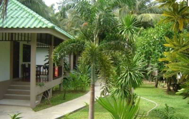 Lamai Inn 99 fotoÄŸrafÄ±