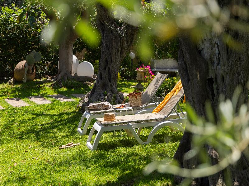 Villa Collina - Genel