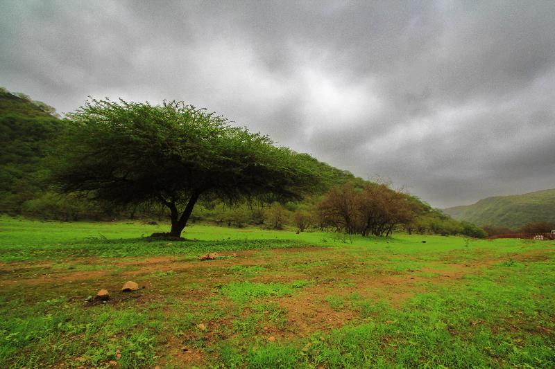 Crowne Plaza Resort Salalah - Genel