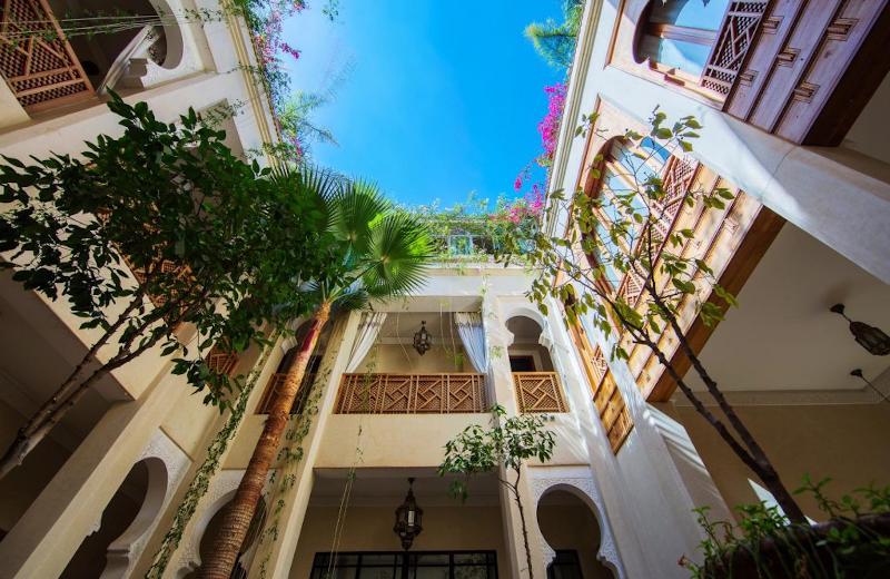 Riad Dar Justo Hotel Boutique & Spa - Teras