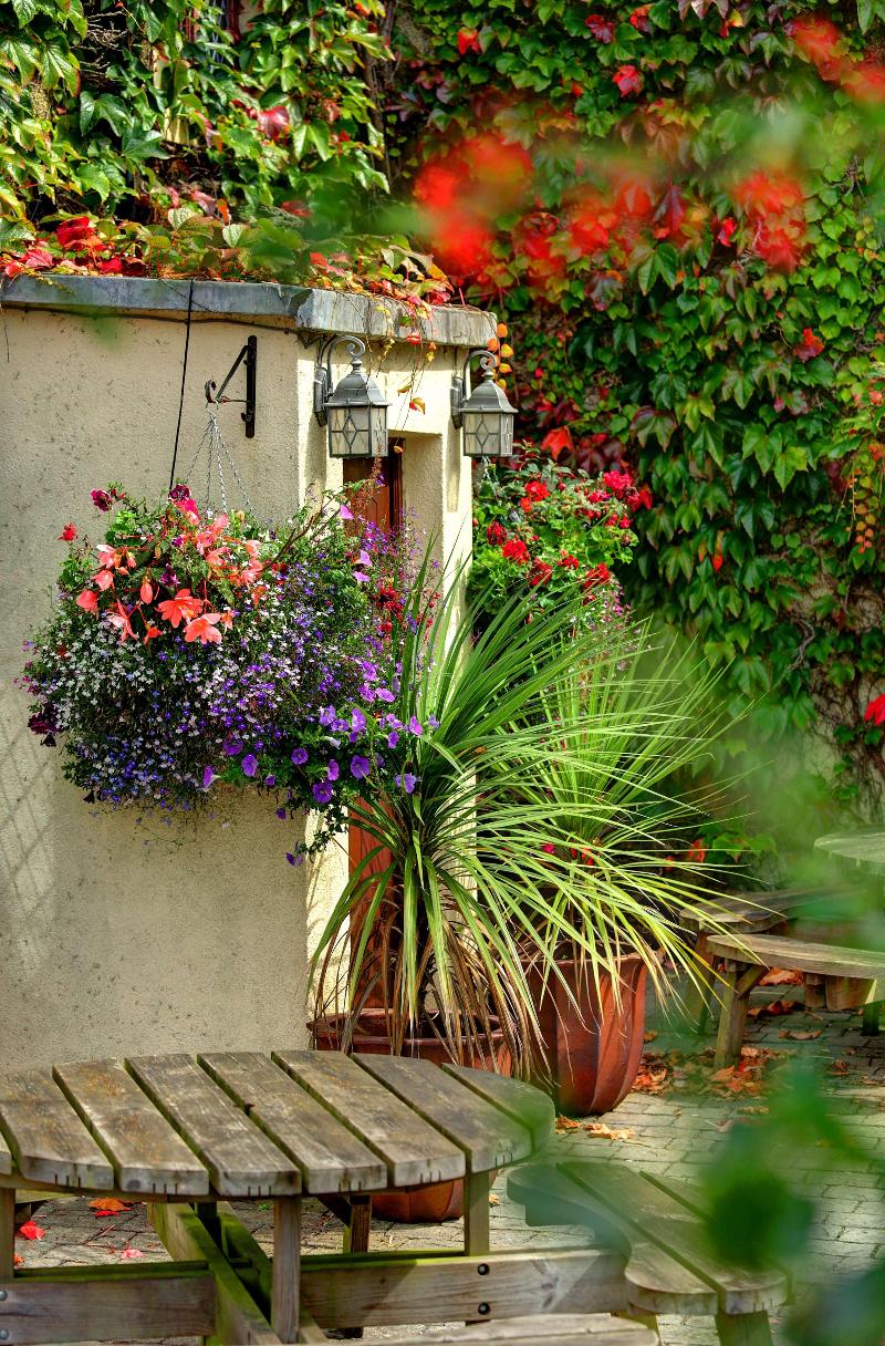 Best Western Compass Inn - Genel