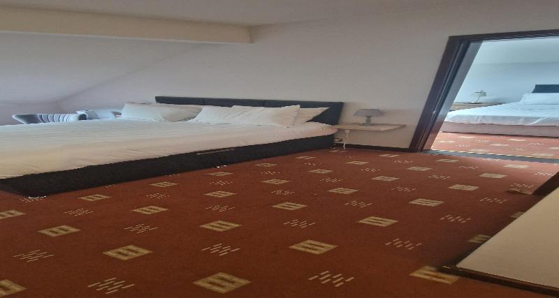 Hotel St Pierre, Sure Hotel Collection by BW - Oda
