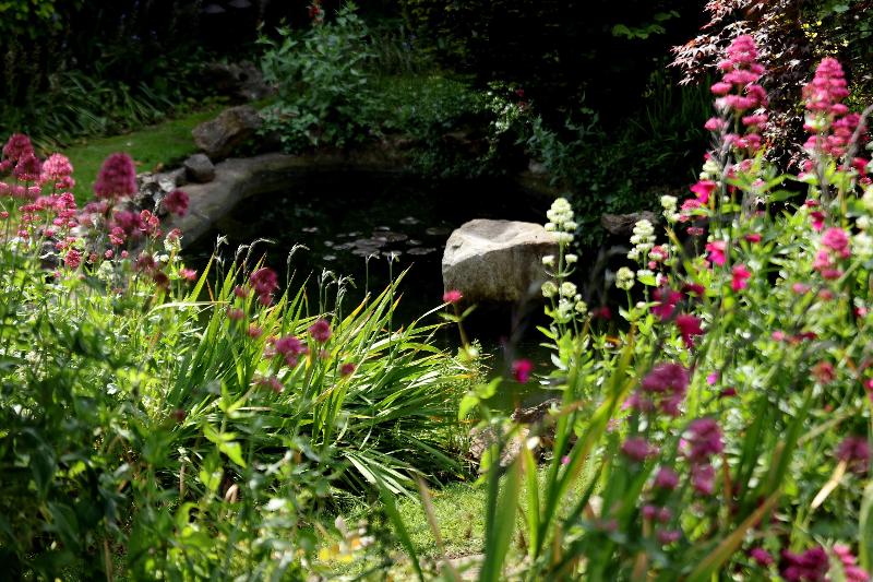 Best Western Henbury Lodge Hotel - Genel