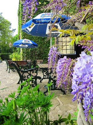 Best Western Weston Hall Hotel fotoÄŸrafÄ±