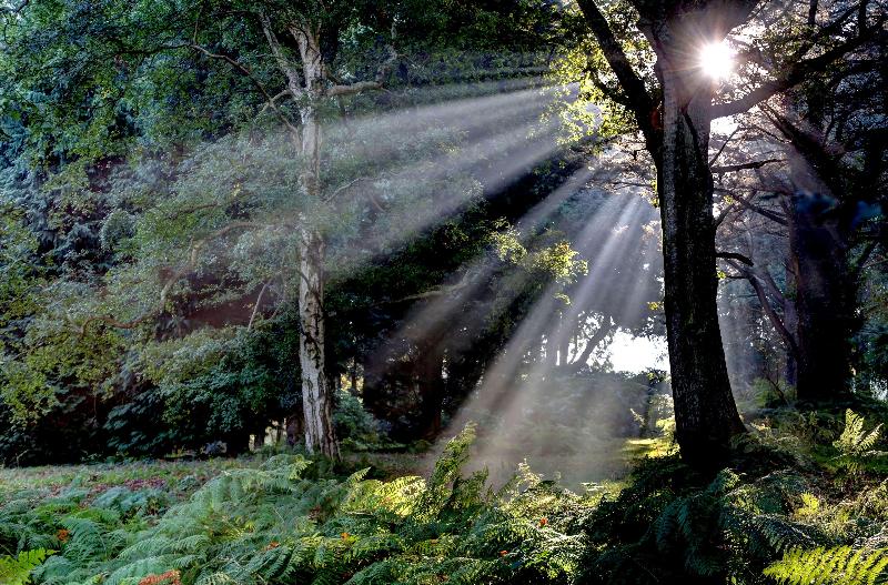 Best Western Chilworth Manor Hotel - Genel